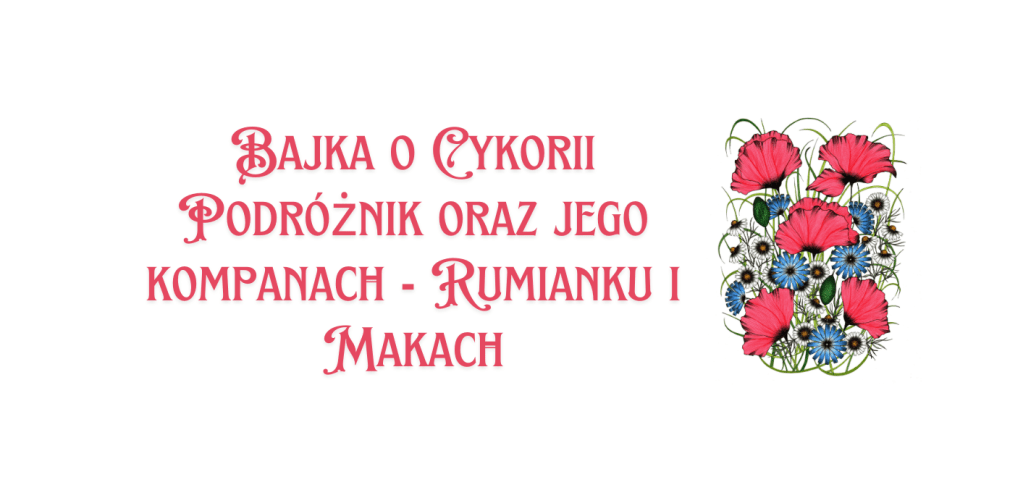Bajka o Cykorii Podróżnik oraz jego kompanach – Rumianku i&nbsp;Makach