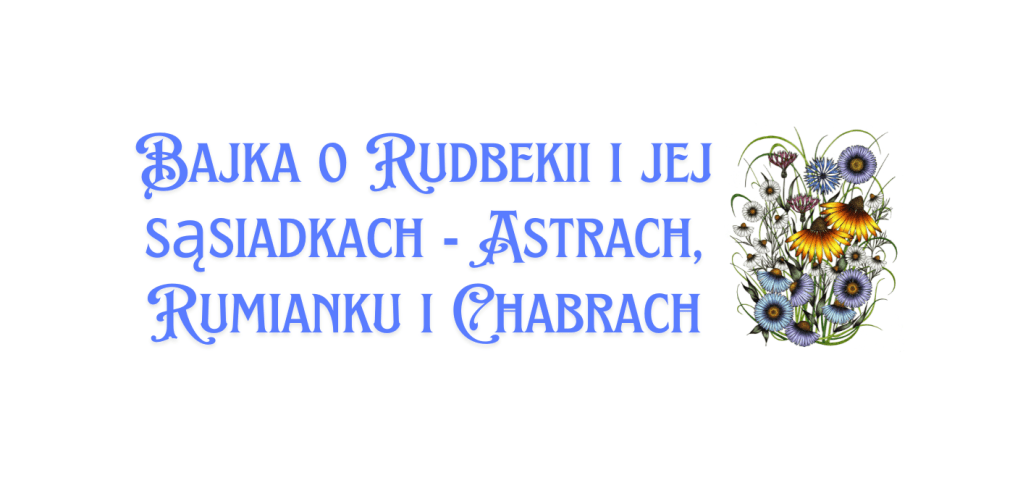 Bajka o Rudbekii i jej sąsiadkach – Astrach, Rumianku i&nbsp;Chabrach